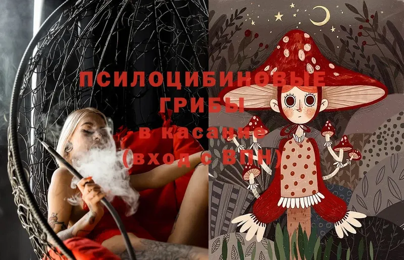 Галлюциногенные грибы Psilocybe  цена   Демидов 